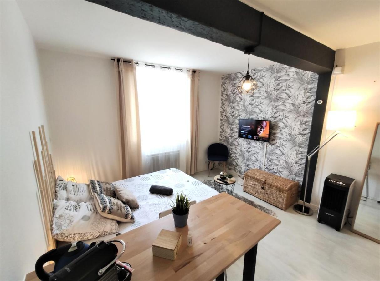 Le Jasmin Des Carmes - Hypercentre - Netflix Leilighet Toulouse Eksteriør bilde