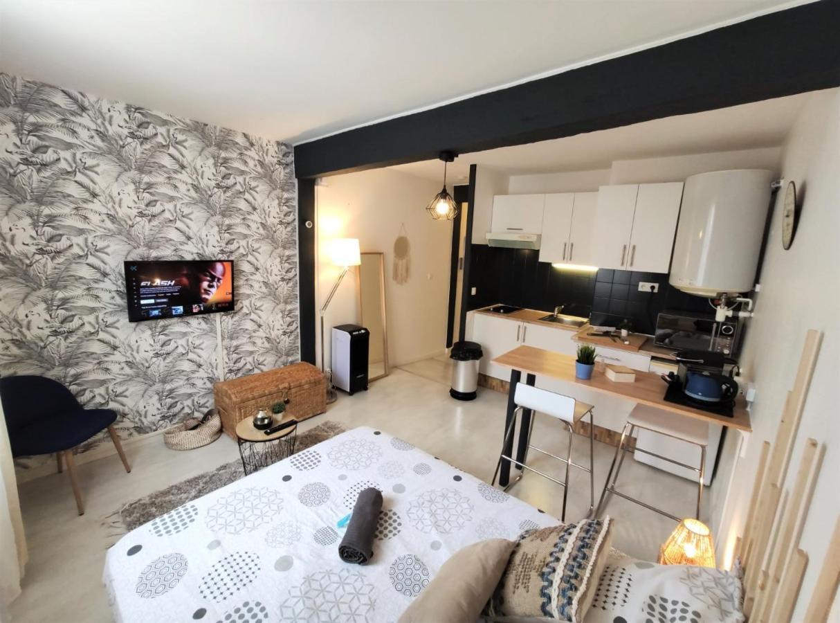 Le Jasmin Des Carmes - Hypercentre - Netflix Leilighet Toulouse Eksteriør bilde